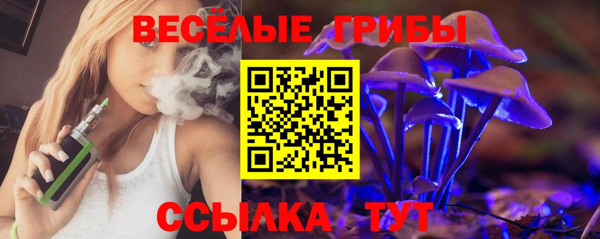 Псилоцибиновые грибы Psilocybine cubensis  Вход с VPN  как найти закладки  Рузаевка 
